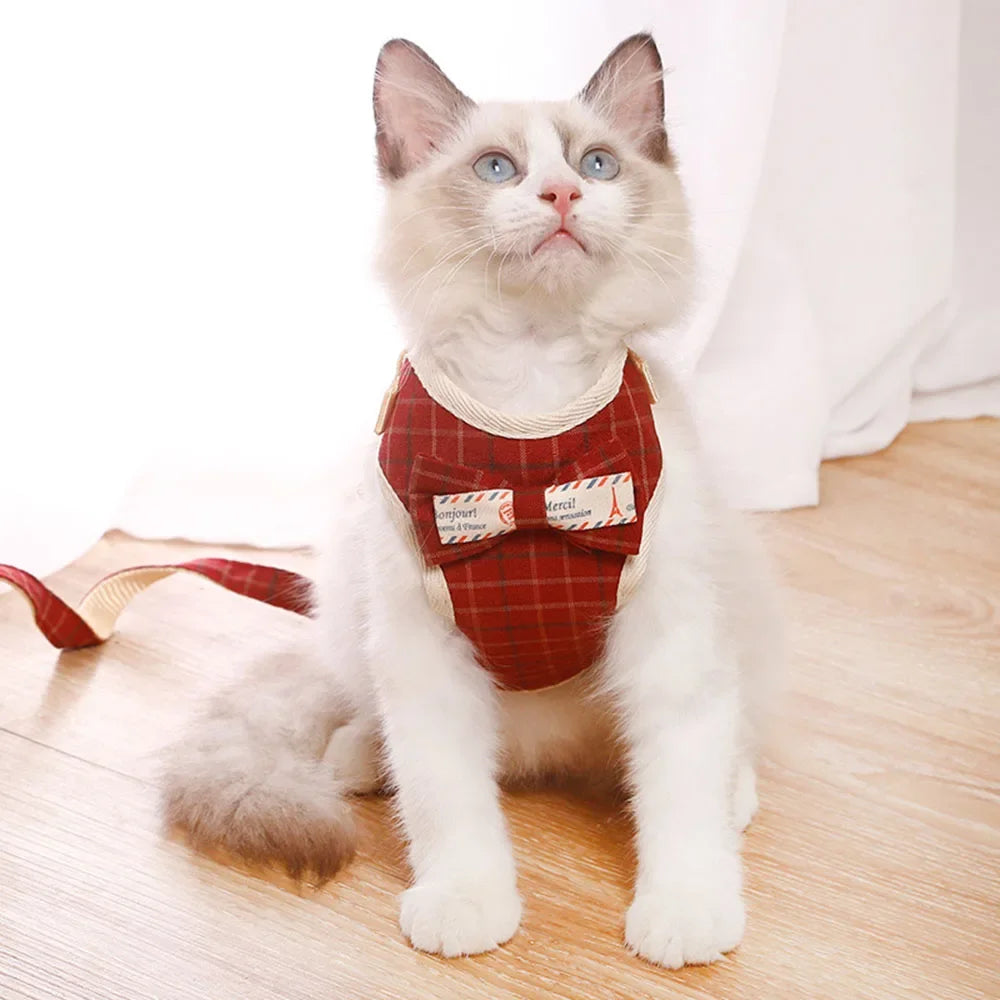 Premium Mesh Cat & Dog Harness with Leash Set