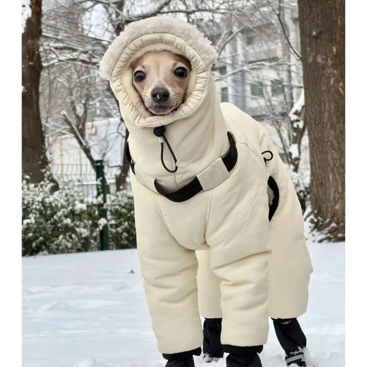 Thickened Winter Dog Jacket - Warm Down Coat for Large Dogs & Greyhounds