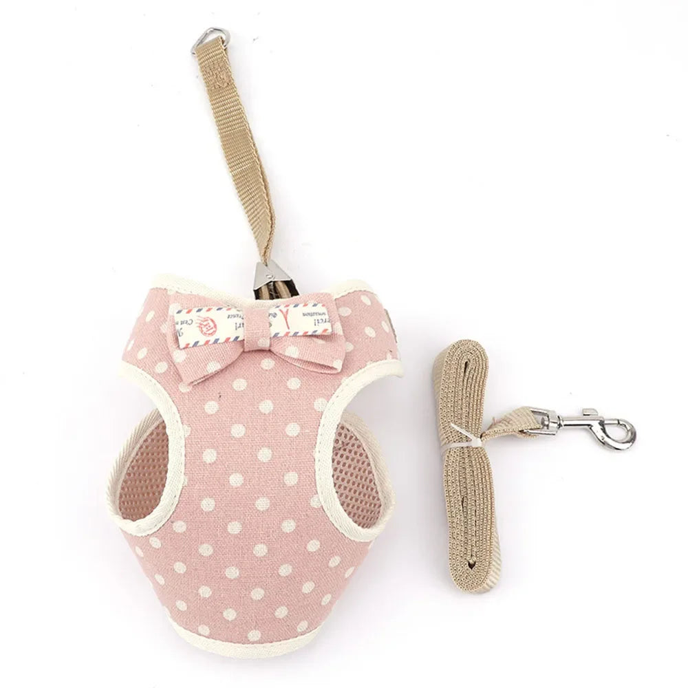Premium Mesh Cat & Dog Harness with Leash Set