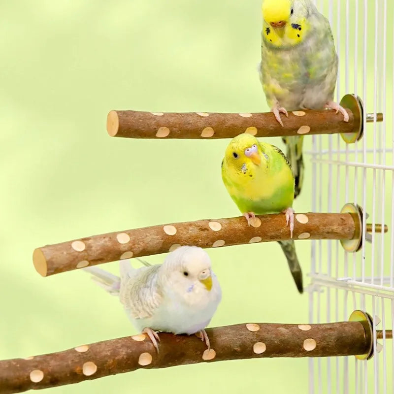 Natural Wood Bird Perch Stand - Paw Grinding Branch for Parakeets, Budgies & Cockatiels