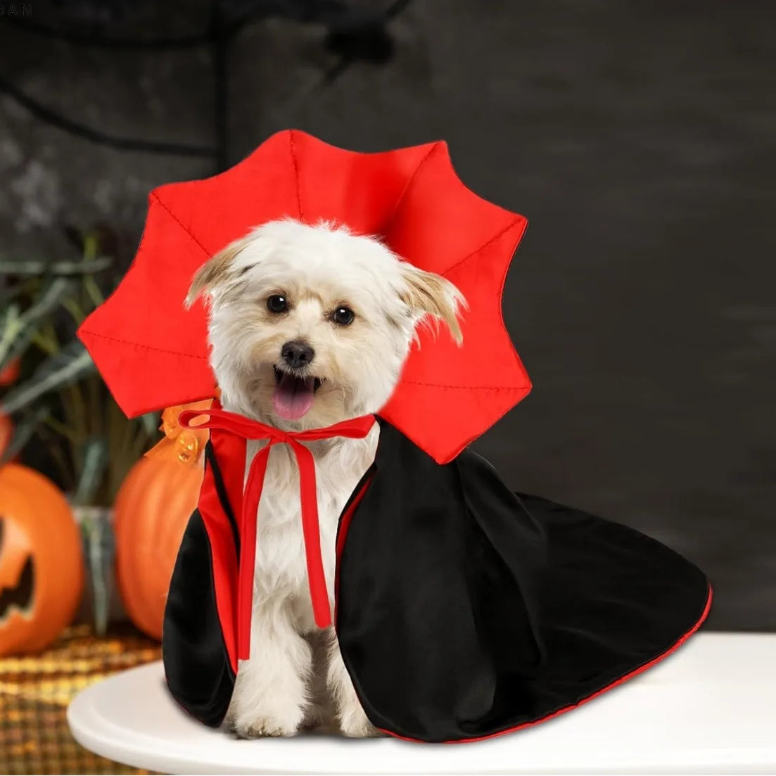 Pet Vampire Cape Costume for Cats and Small Dogs