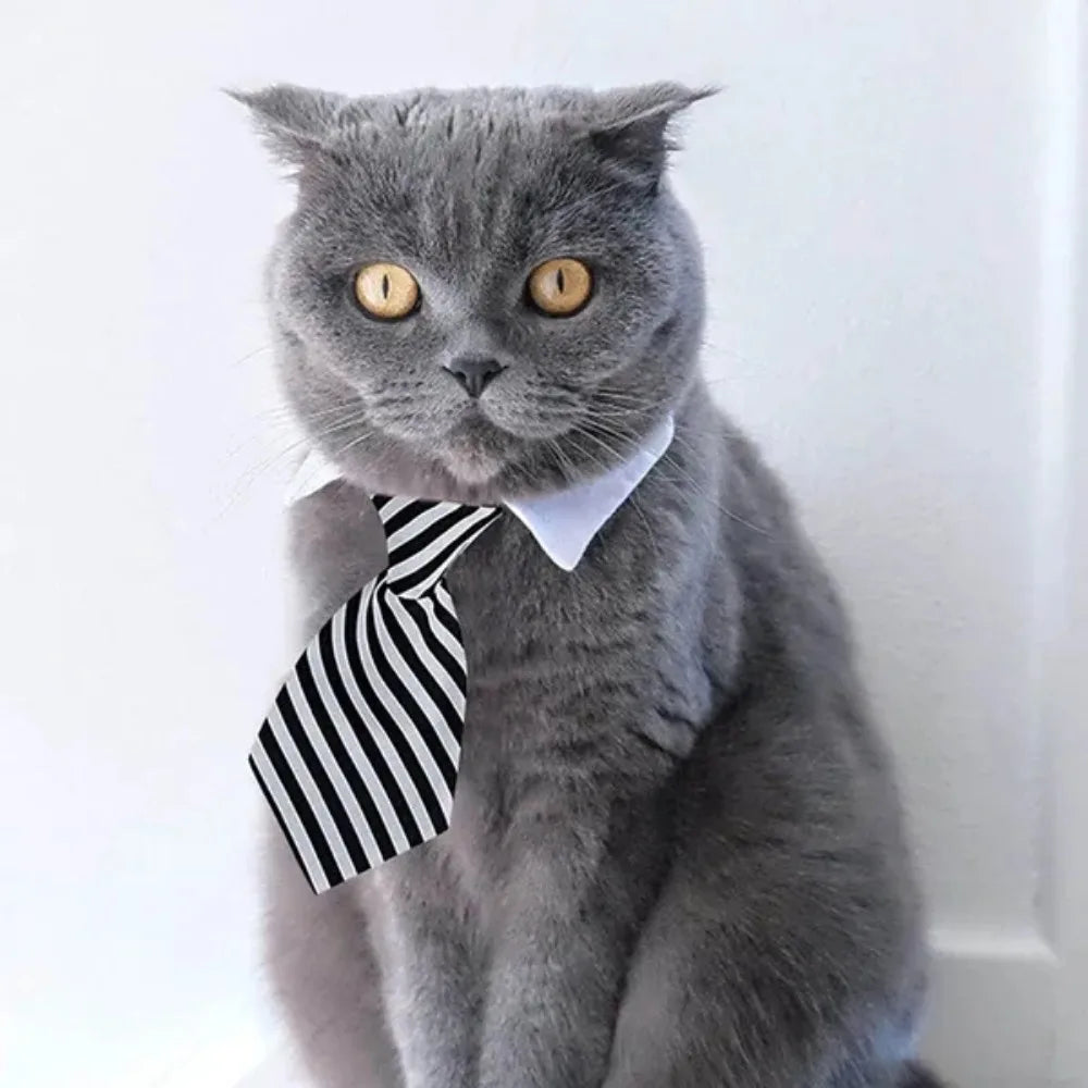 Adjustable Pet Bow Tie Collar for Dogs and Cats