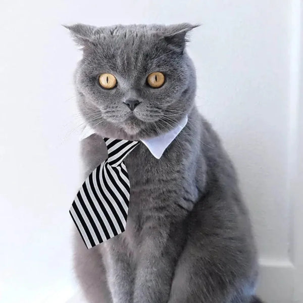 Adjustable Pet Bow Tie Collar for Dogs and Cats