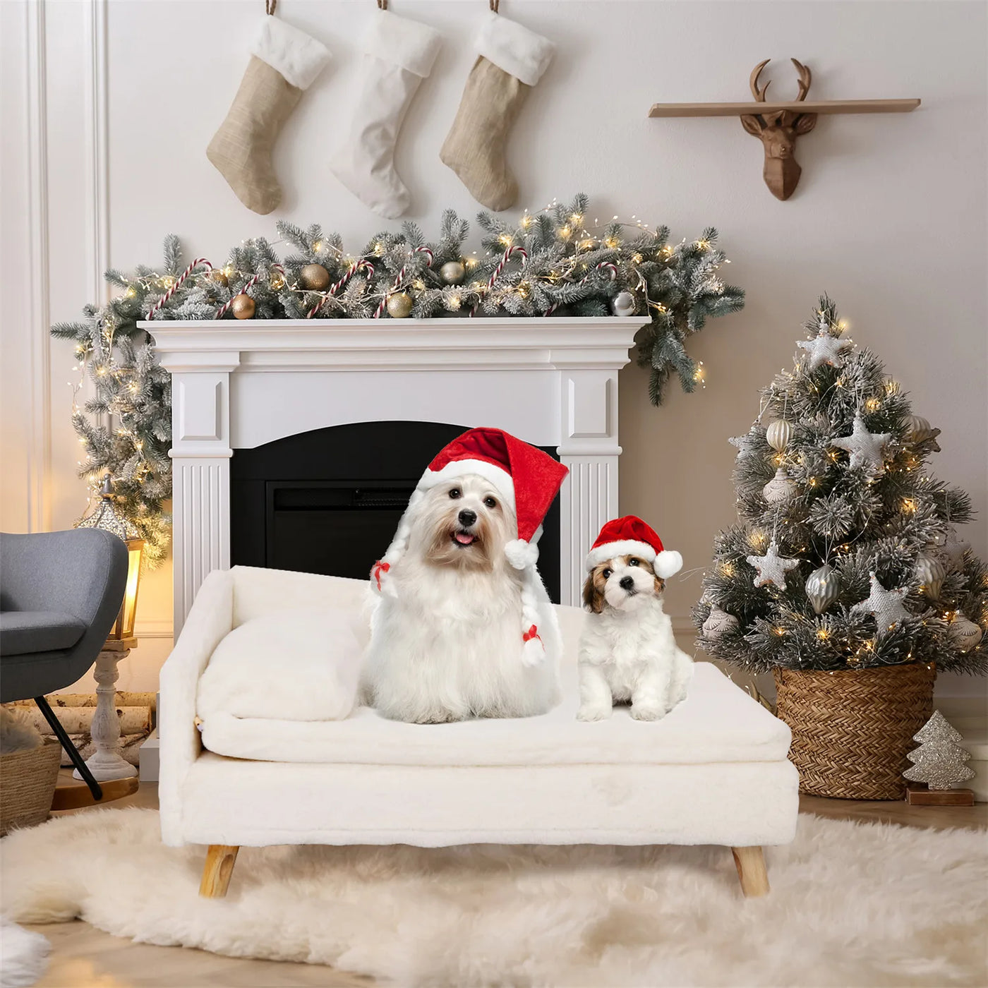 Nordic Elevated Pet Bed with Waterproof Cushion
