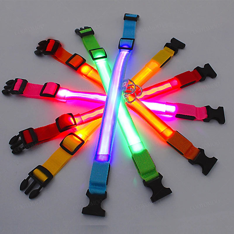 LED USB Rechargeable Dog Collar - 3 Light Modes Safety Collar