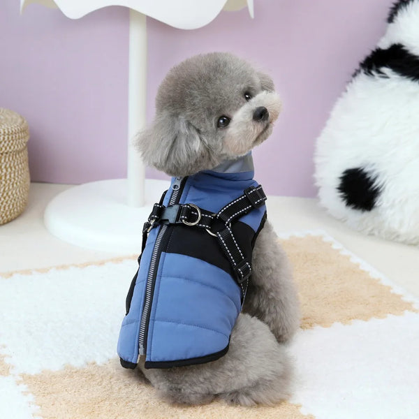 Waterproof Dog Winter Jacket - Adjustable Padded Coat with Reflective Strips