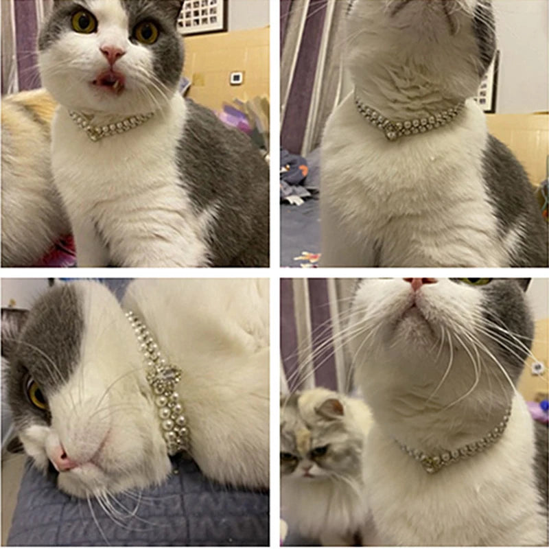 Luxury Pearl & Rhinestone Pet Collar - Elegant Necklace for Cats & Small Dogs