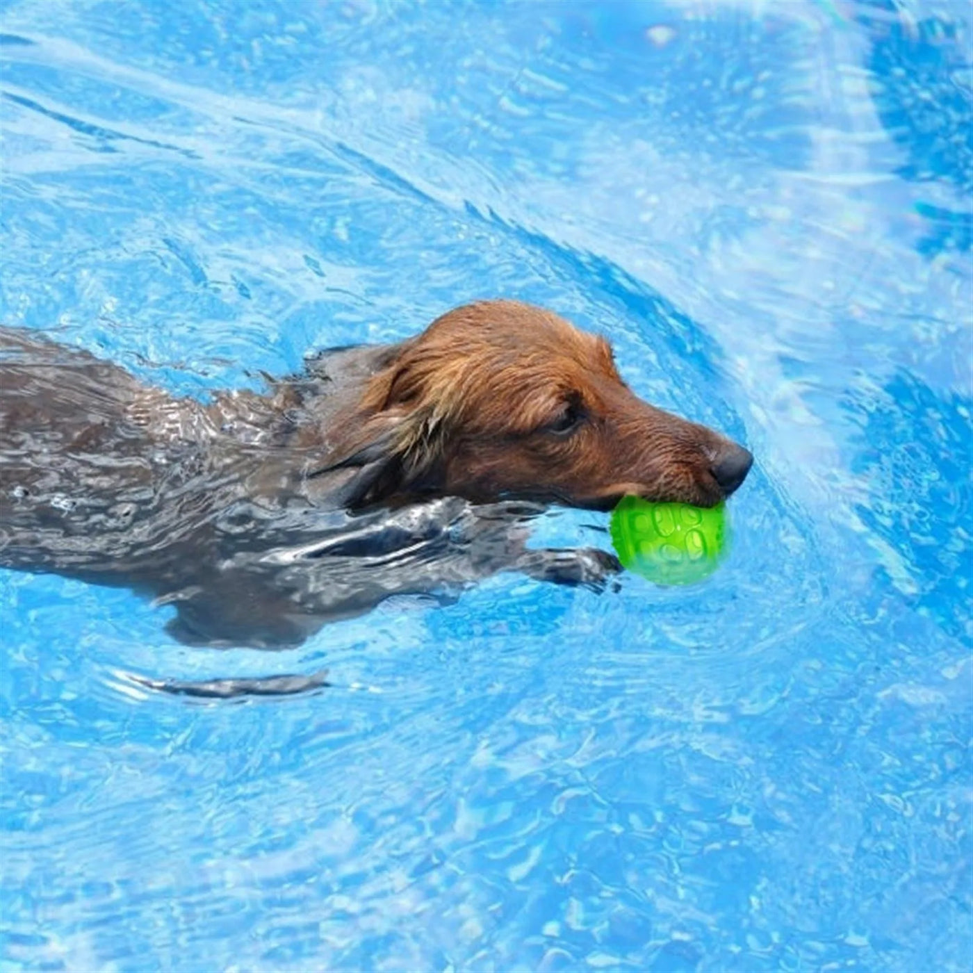 Interactive Dog Chew Ball with Squeaker - Durable Waterproof Toy