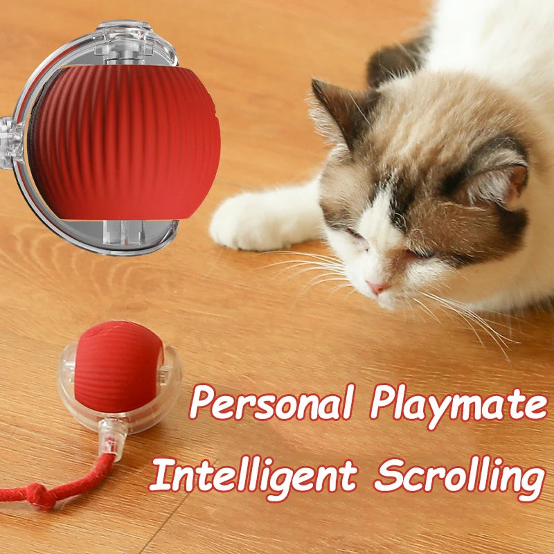 Interactive Cat Ball Toy - Automatic Rolling with Faux Tail