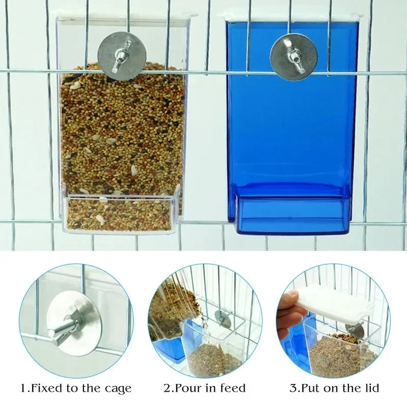Automatic Bird Feeder with Anti-Splash Design for Parakeets