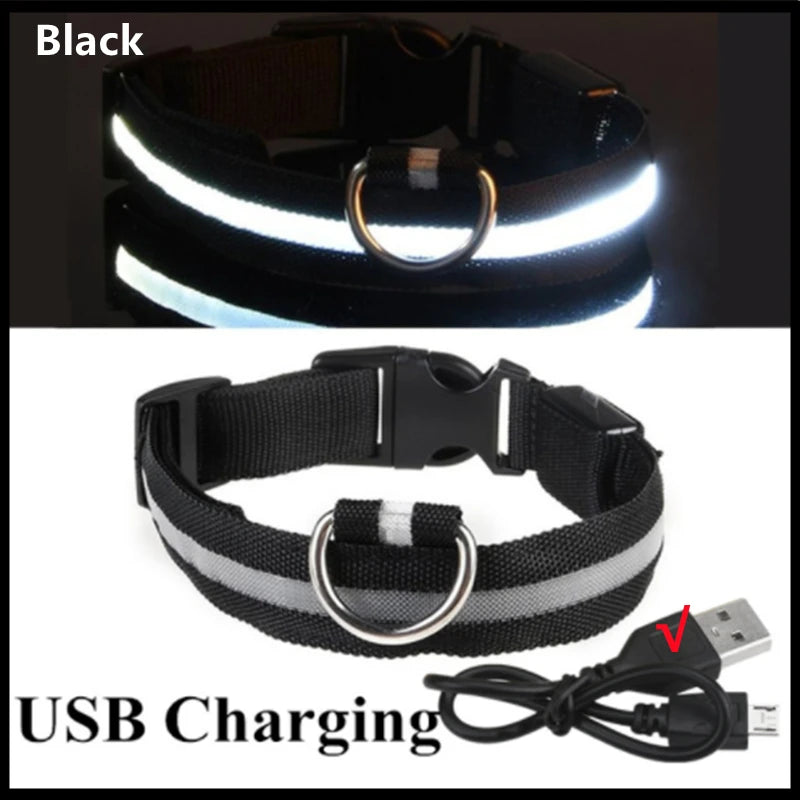 LED USB Rechargeable Dog Collar - 3 Light Modes Safety Collar