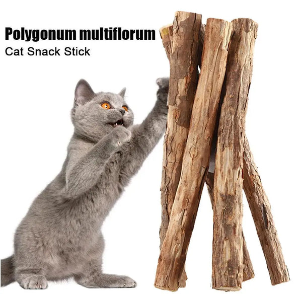 Natural Catnip Chew Sticks for Cats