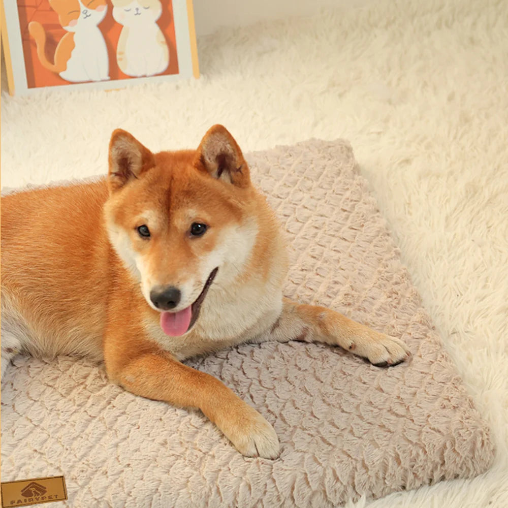 Premium Orthopedic Dog Bed - 3D Foam with Removable Washable Cover