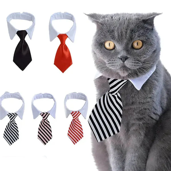 Adjustable Pet Bow Tie Collar for Dogs and Cats