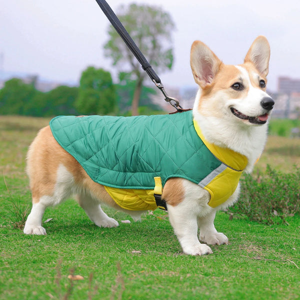 Waterproof Winter Dog Vest Jacket - Warm Padded Coat for Small to Large Dogs