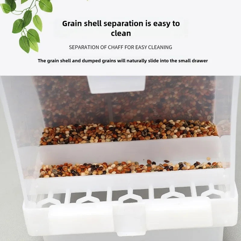 Automatic Bird Feeder with Anti-Splash Design for Parakeets