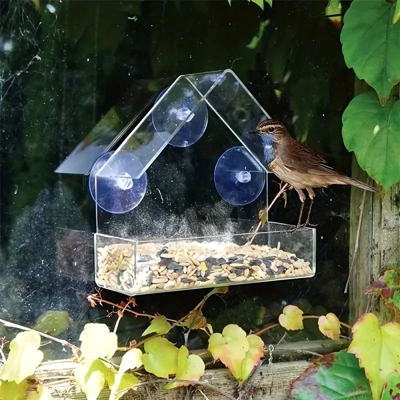 Clear Acrylic Window Bird Feeder with Suction Cups - Outdoor Wildlife Viewing