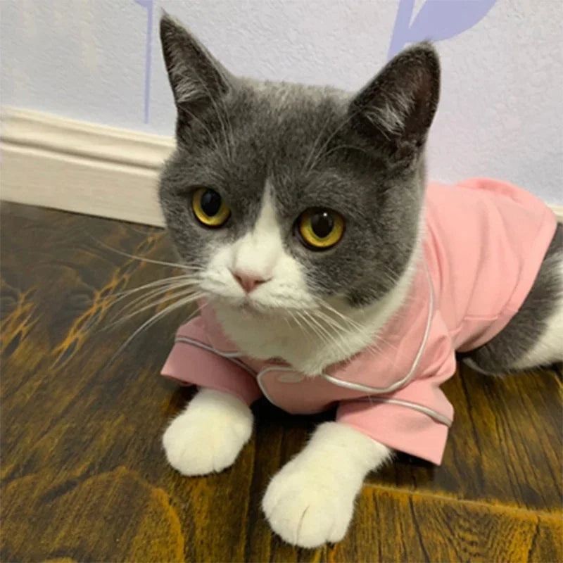 Christmas Pet Cat Hoodie Costume - Winter Sweatshirt for Cats
