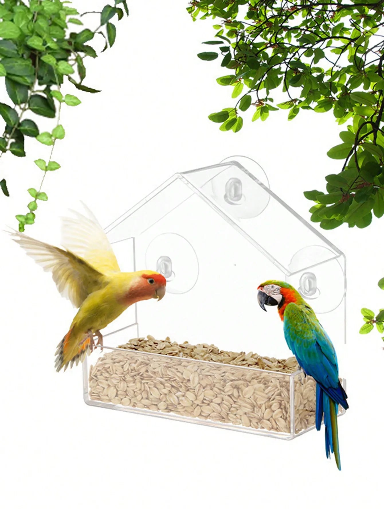 Clear Acrylic Window Bird Feeder with Suction Cups - Outdoor Wildlife Viewing