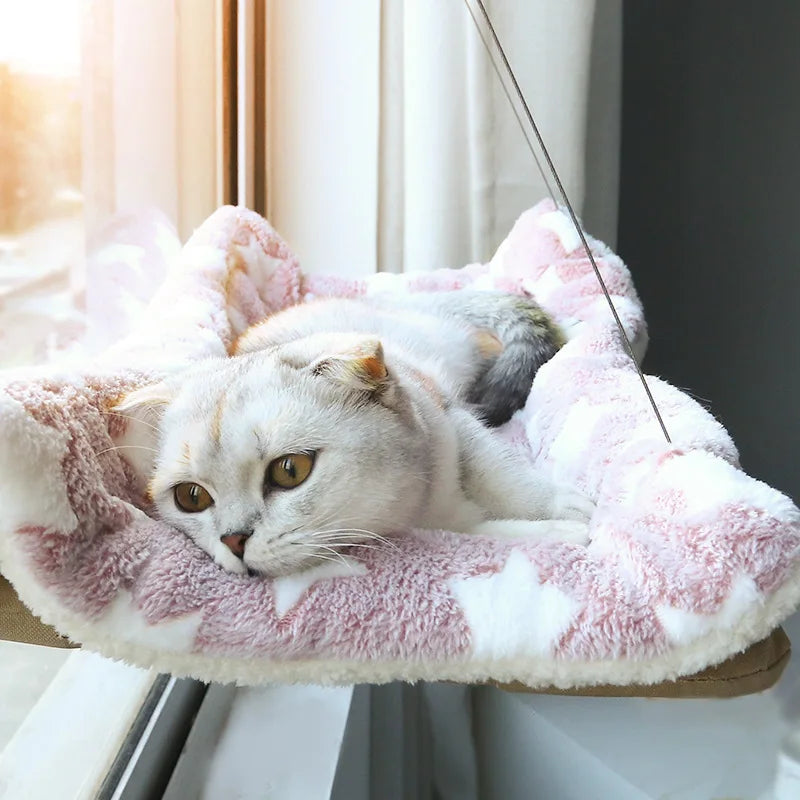 Cat Beds