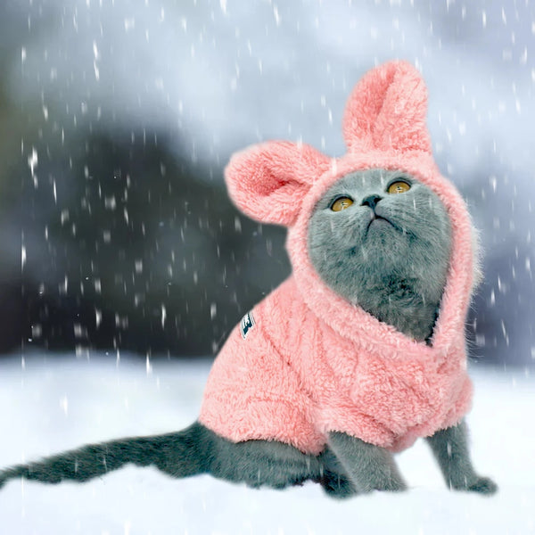 Cozy Winter Pet Coat - Soft Cotton Jacket for Small Dogs & Cats