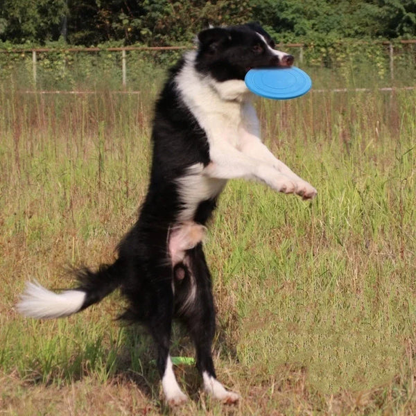 Silicone Flying Disc Dog Toy - Durable Chew-Resistant Interactive Pet Toy